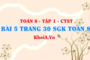 Bài 5 trang 30 SGK Toán 8 Tập 1 Chân trời sáng tạo
